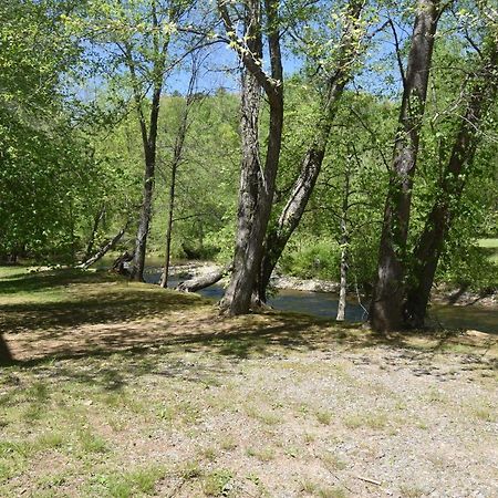 Riverside Trout Cottage 海伦 外观 照片
