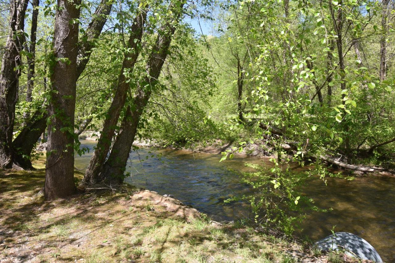 Riverside Trout Cottage 海伦 外观 照片